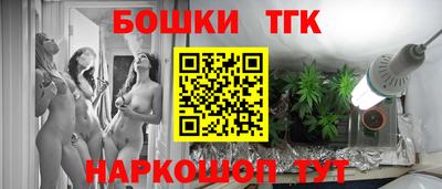 дмт Бердск