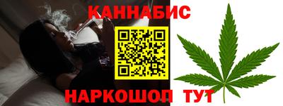 дмт Бердск
