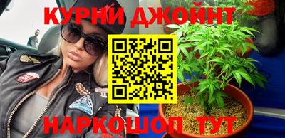 дмт Бердск