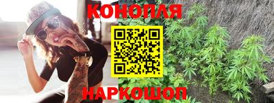 дмт Бердск