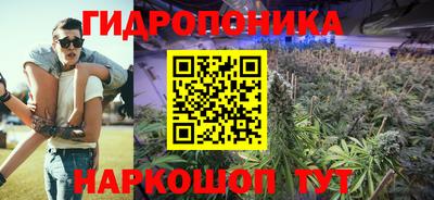 дмт Бердск